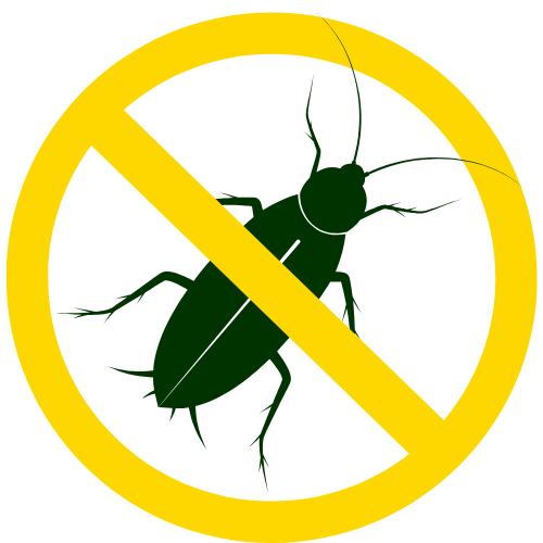 Cockroach