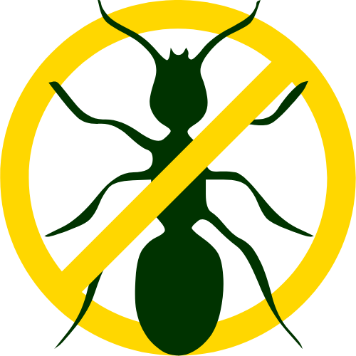 Termites